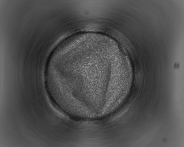 X0000101160530200807181401
