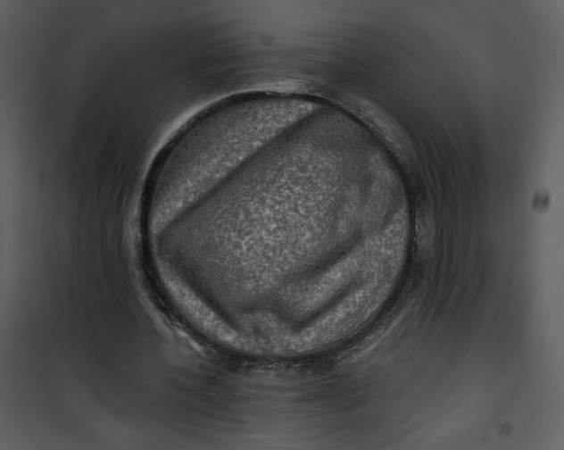 X0000101160532200807181401