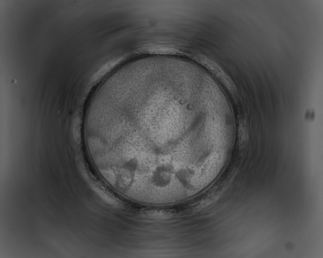 X0000101160533200807181401