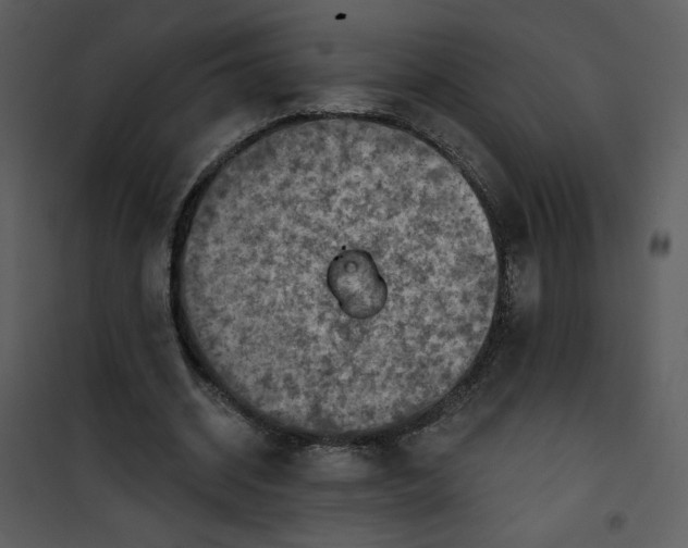 X0000101160534200807181401