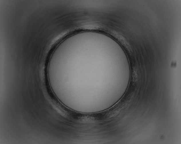 X0000101160535200807181401