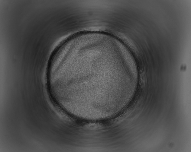 X0000101160536200807181401