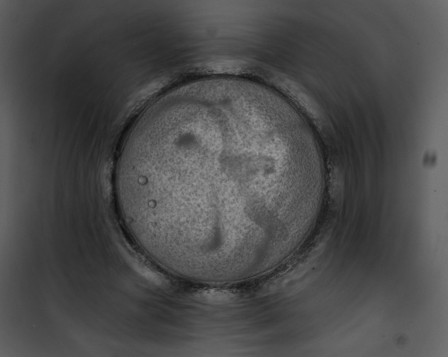 X0000101160537200807181401