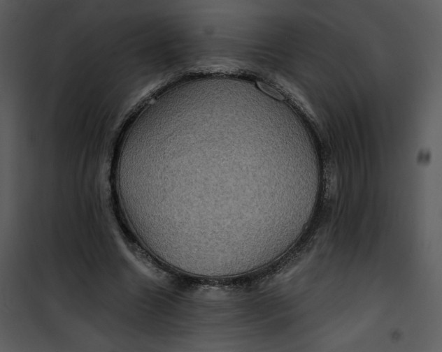 X0000101160538200807181401