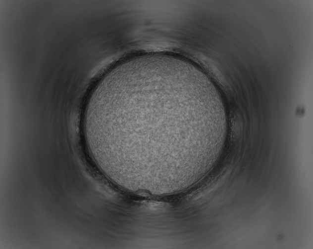 X0000101160539200807181401