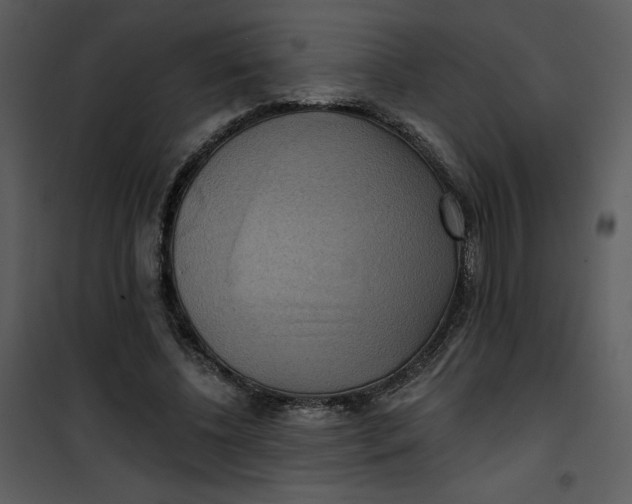 X0000101160540200807181401