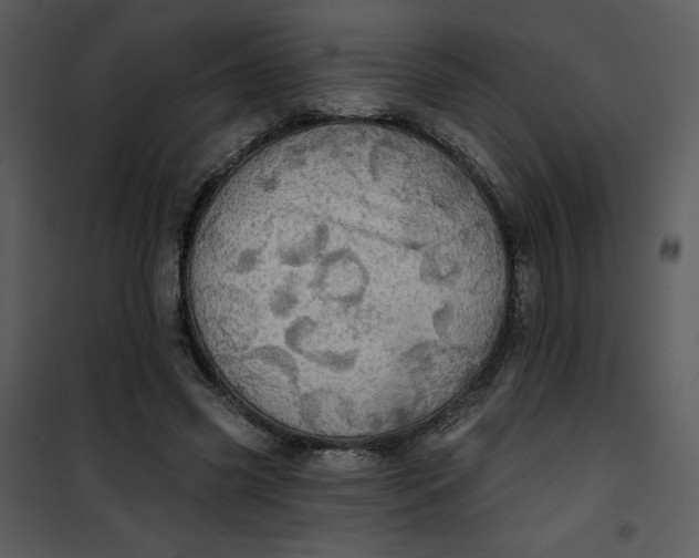 X0000101160541200807181401