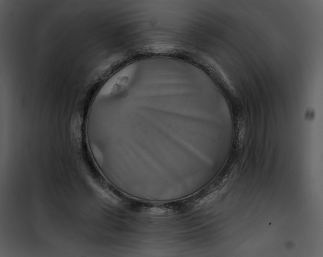 X0000101160542200807181401