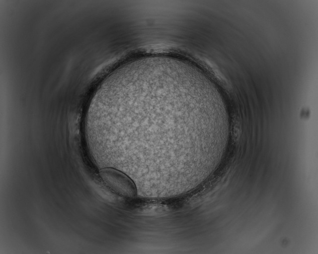X0000101160543200807181401