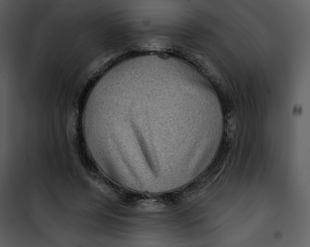 X0000101160544200807181401