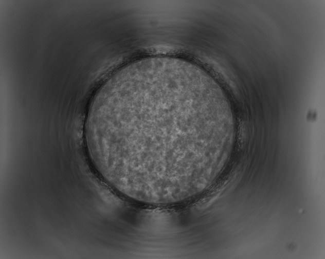 X0000101160545200807181401