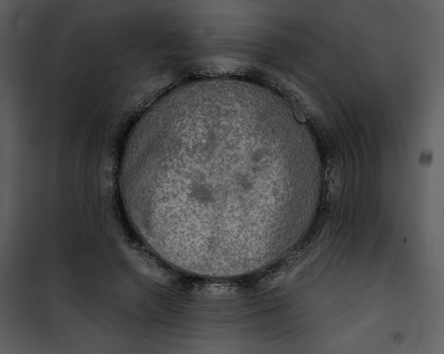 X0000101160546200807181401