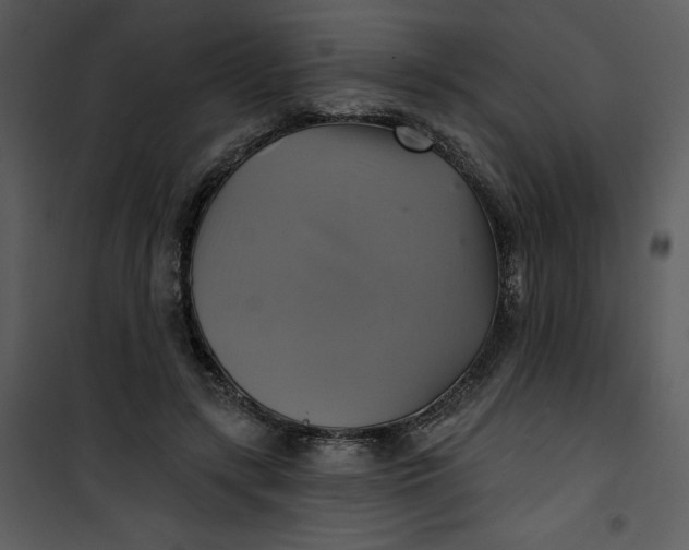 X0000101160547200807181401