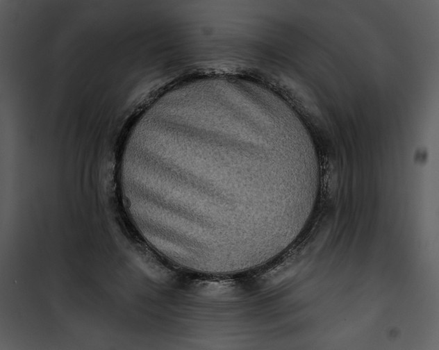 X0000101160548200807181401