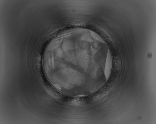 X0000101160550200807181401
