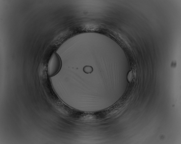 X0000101160551200807181401