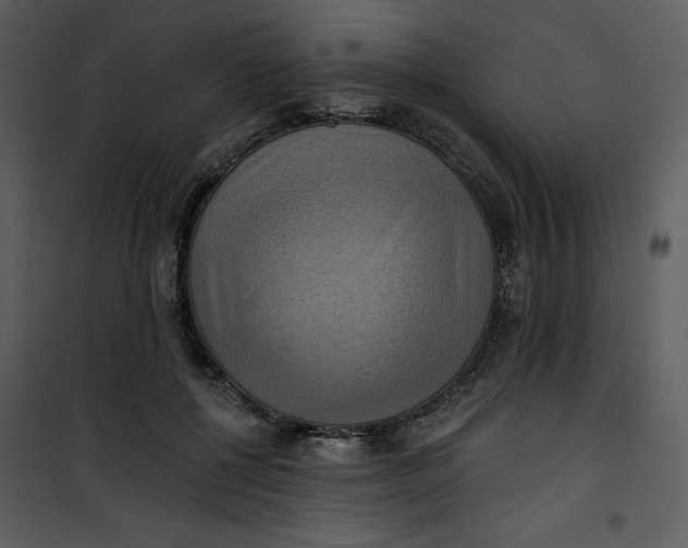 X0000101160552200807181401