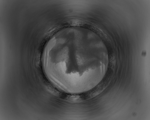 X0000101160554200807181401