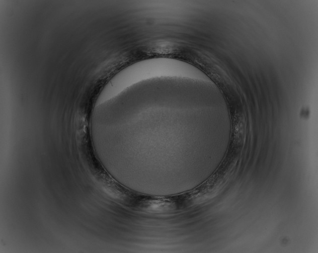 X0000101160555200807181401
