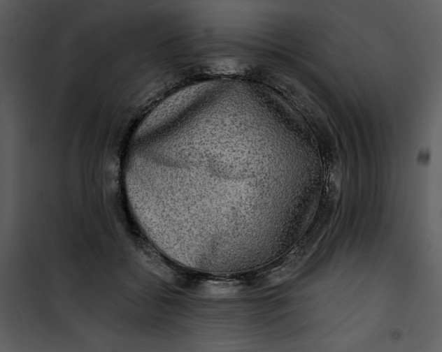 X0000101160556200807181401