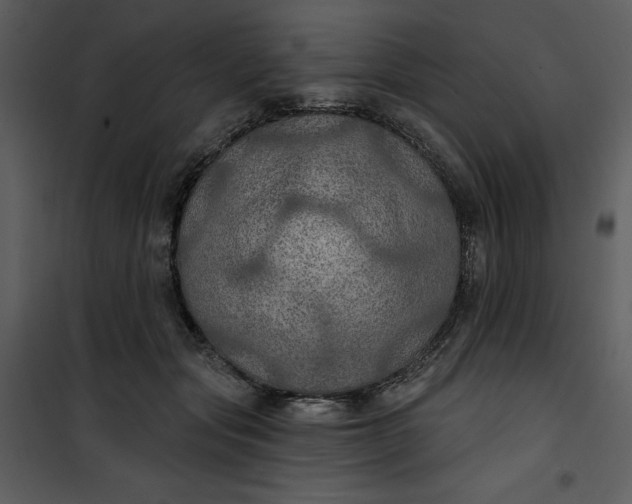 X0000101160557200807181401