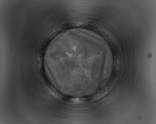 X0000101160558200807181401