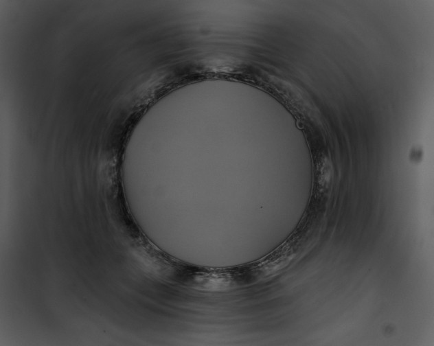 X0000101160559200807181401