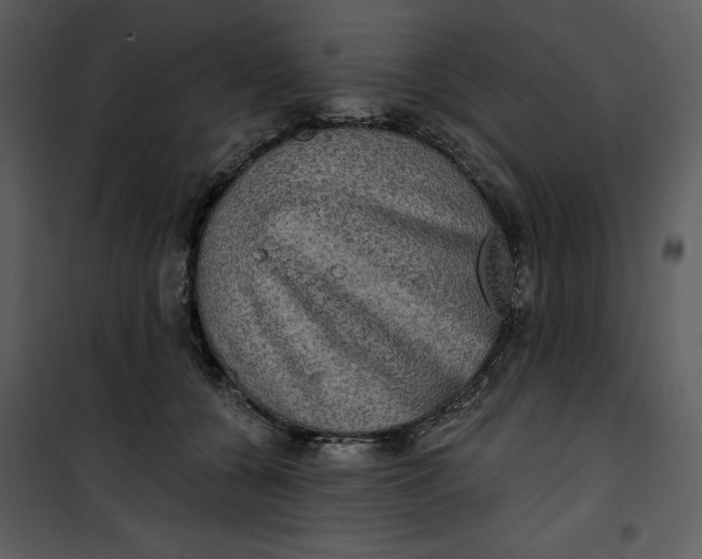 X0000101160560200807181401