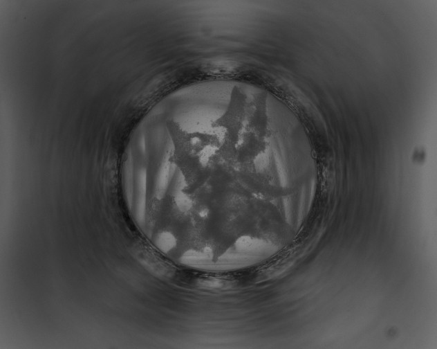 X0000101160561200807181401