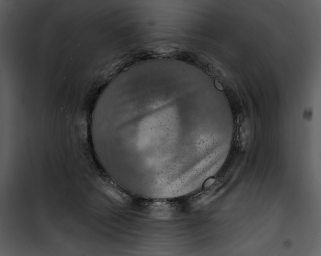 X0000101160562200807181401