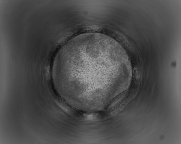 X0000101160564200807181401