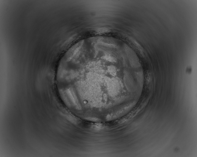 X0000101160565200807181401