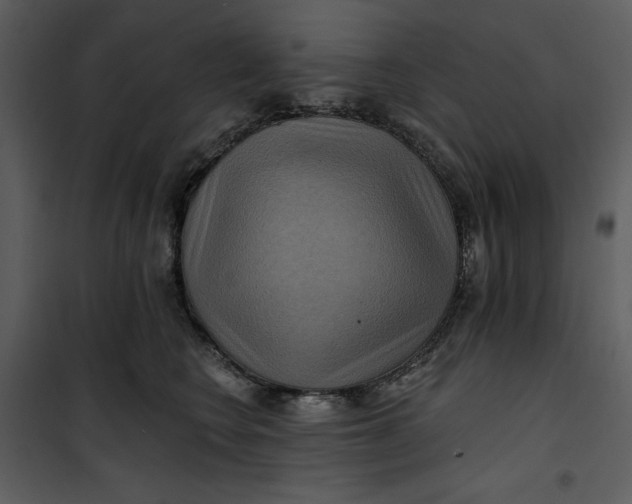 X0000101160566200807181401