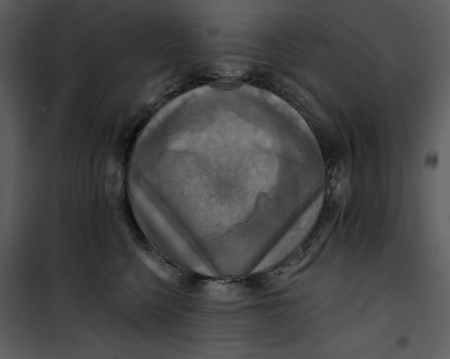 X0000101160568200807181401