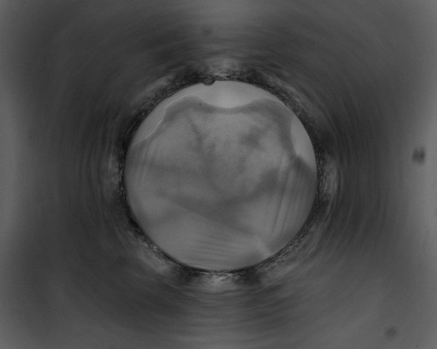 X0000101160569200807181401