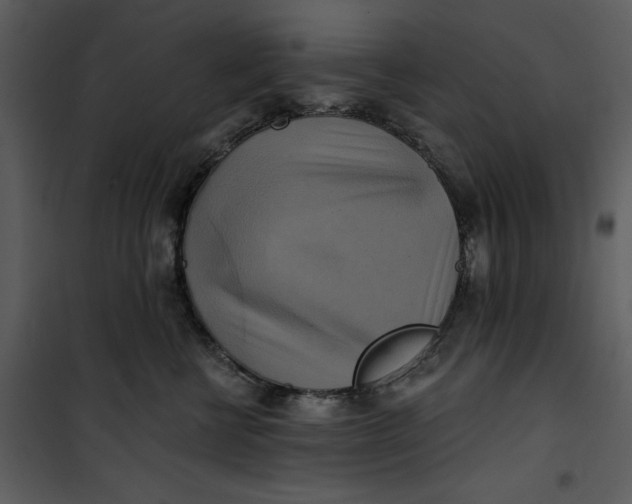 X0000101160570200807181401