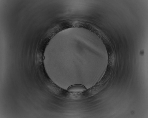 X0000101160571200807181401