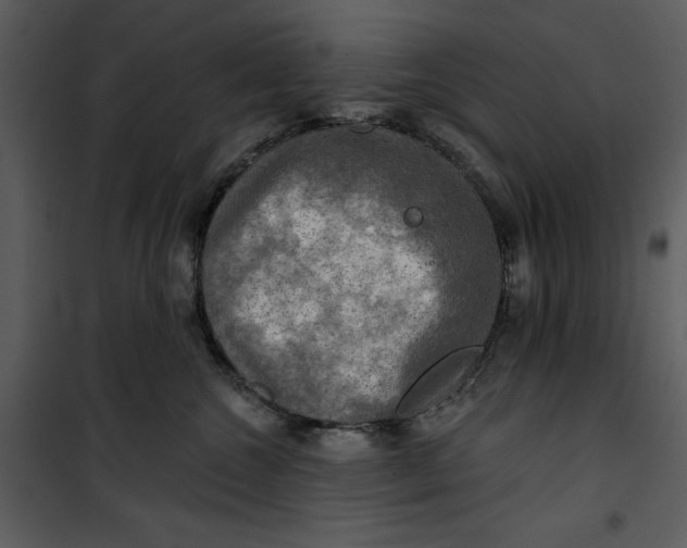 X0000101160572200807181401