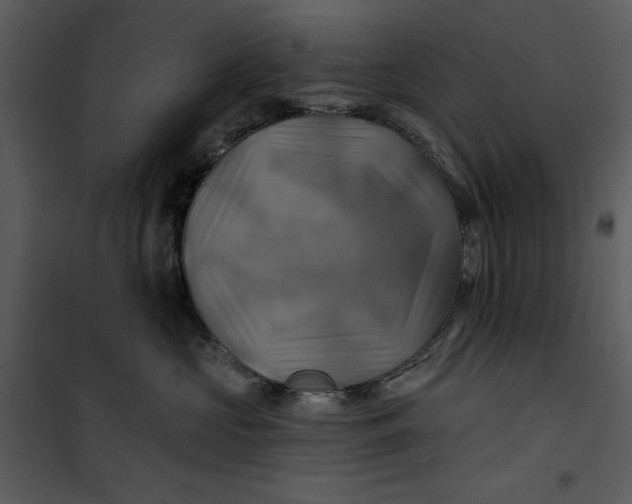 X0000101160573200807181402