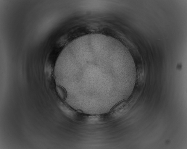 X0000101160574200807181402