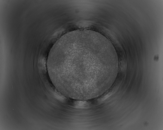 X0000101160575200807181402
