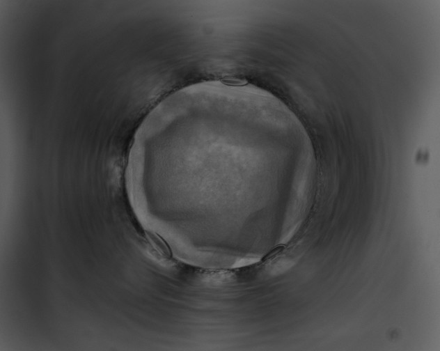 X0000101160576200807181402