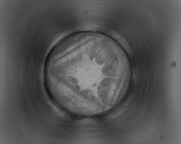 X0000101160578200807181401