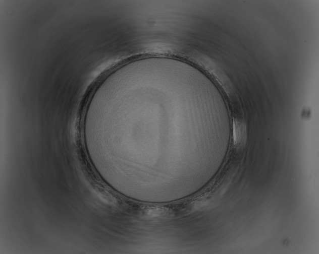 X0000101160579200807181401