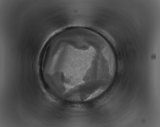 X0000101160580200807181401