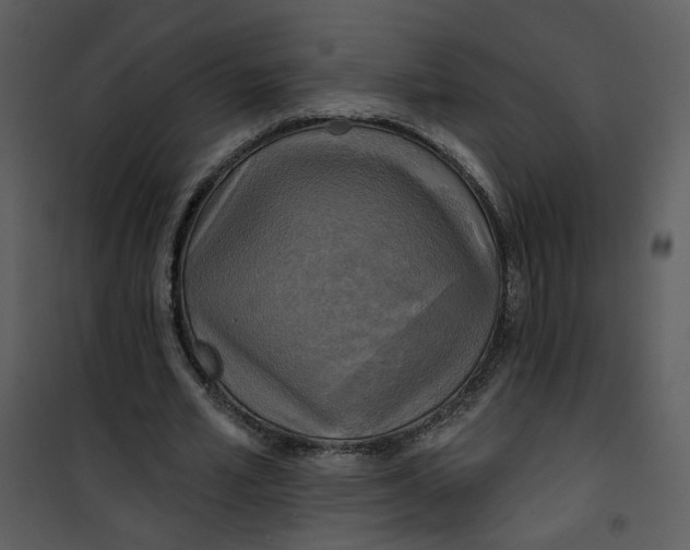 X0000101160581200807181401