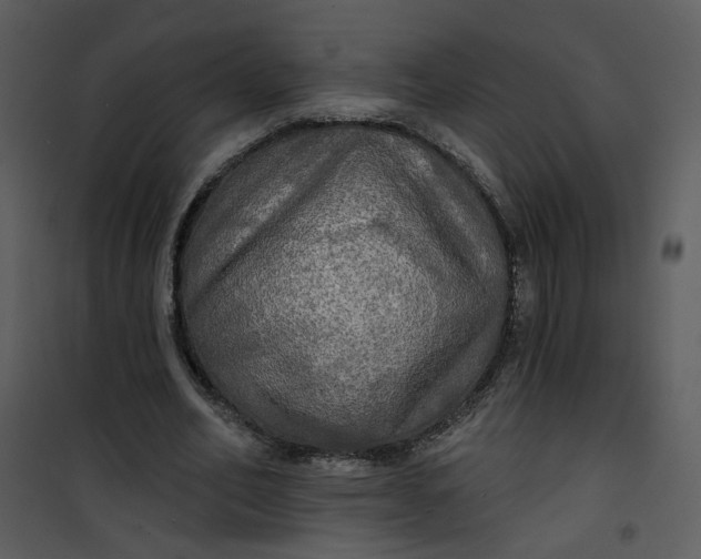 X0000101160582200807181401