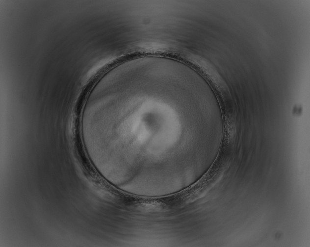 X0000101160583200807181401