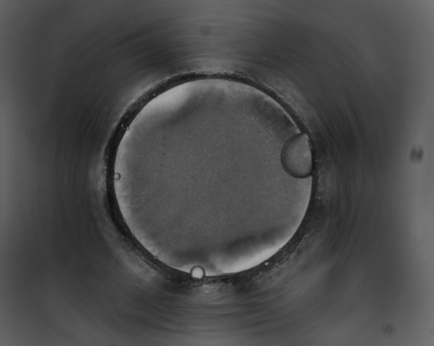 X0000101160584200807181401
