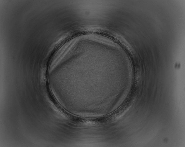 X0000101160585200807181401